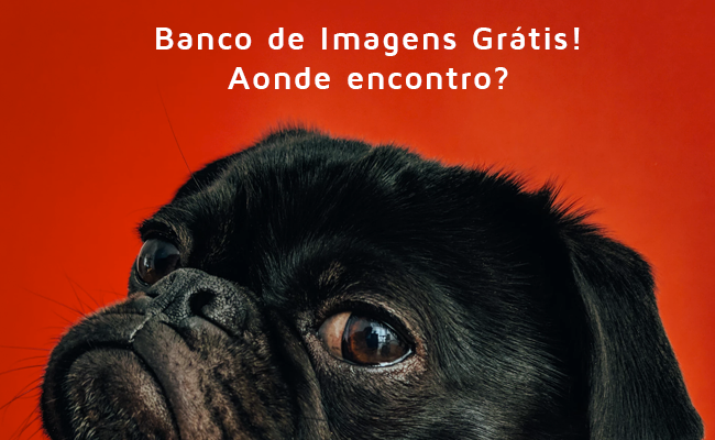 Banco de Imagens Grátis